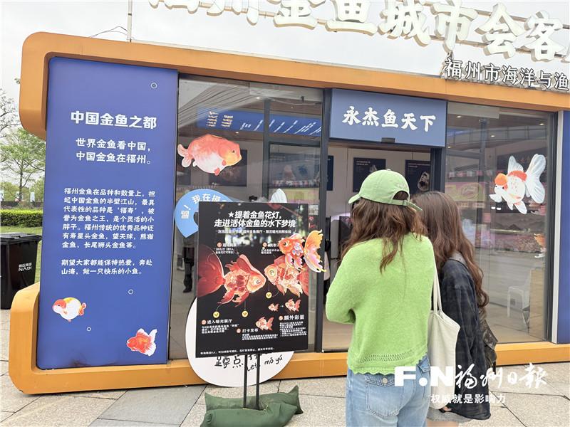 福州金鱼借音乐节“出圈”