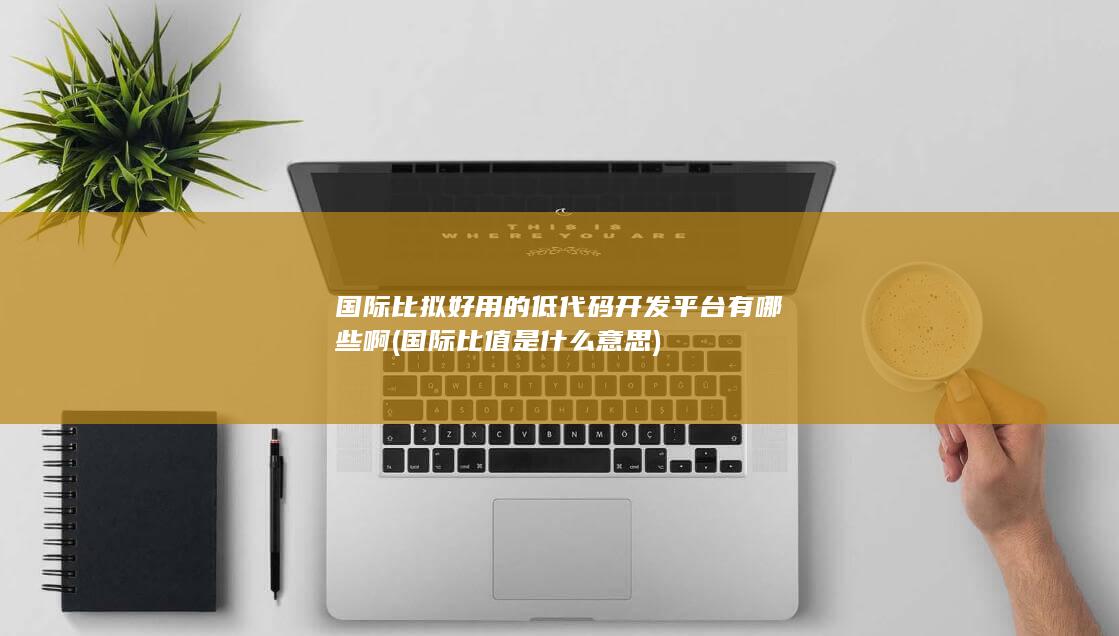 国际比值是什么意思