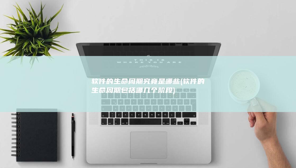软件的生命周期究竟是哪些