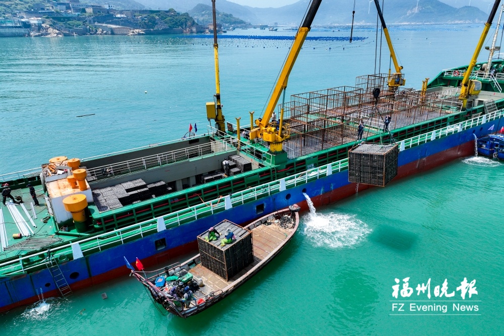 19亿粒连江鲍鱼“北上避暑” “南北对养”模式获央视关注