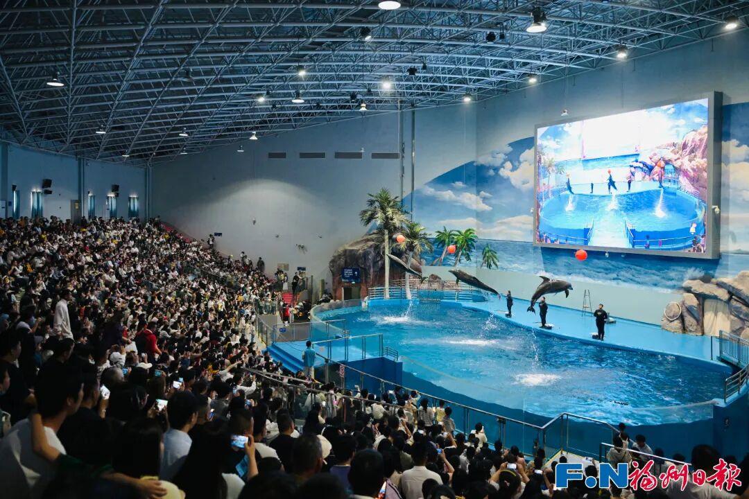 开门红！“五一”假期首日，福州文旅火力全开！