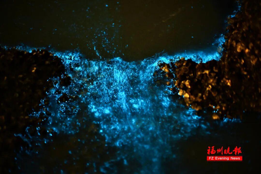 超梦幻！福州蓝眼泪爆发，今晚还有！