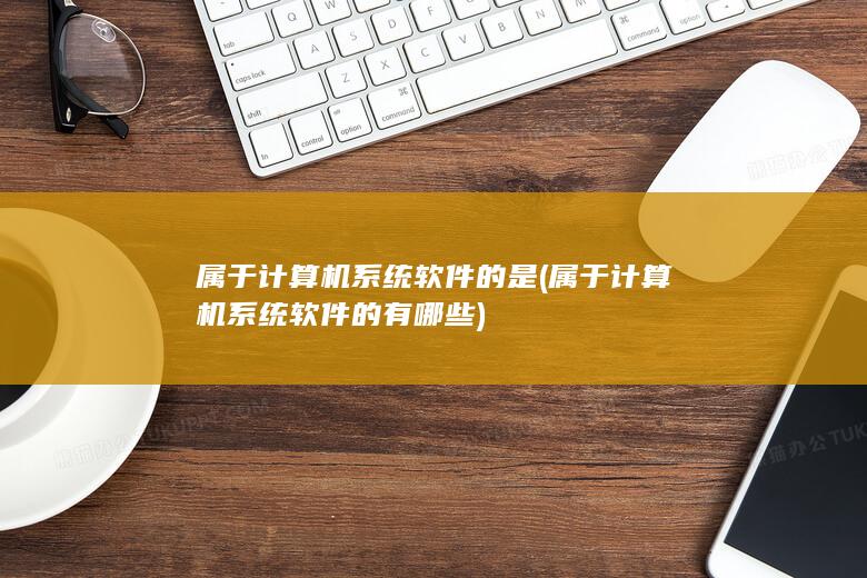 属于计算机系统软件的有哪些
