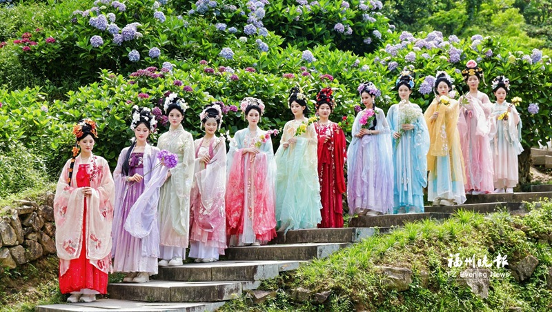 鼓岭绣球花主题活动启幕:十二花神相伴 共赴端午雅韵 鼓岭绣球花主题活动启幕:十二花神相伴 共赴端午雅韵