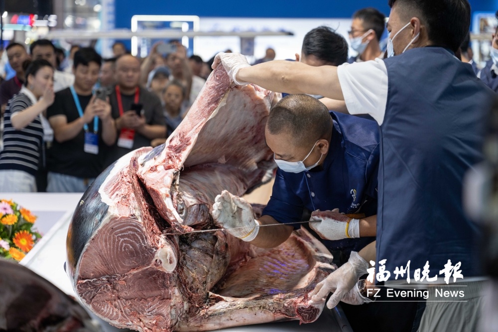 闽超鱼丸、庖丁解鱼、金鱼比美…… “丸”转福州“渔”乐无穷 闽超鱼丸、庖丁解鱼、金鱼比美…… “丸”转福州“渔”乐无穷