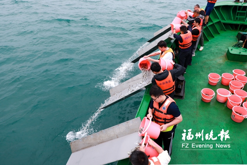 164万尾鱼苗放流福马海域