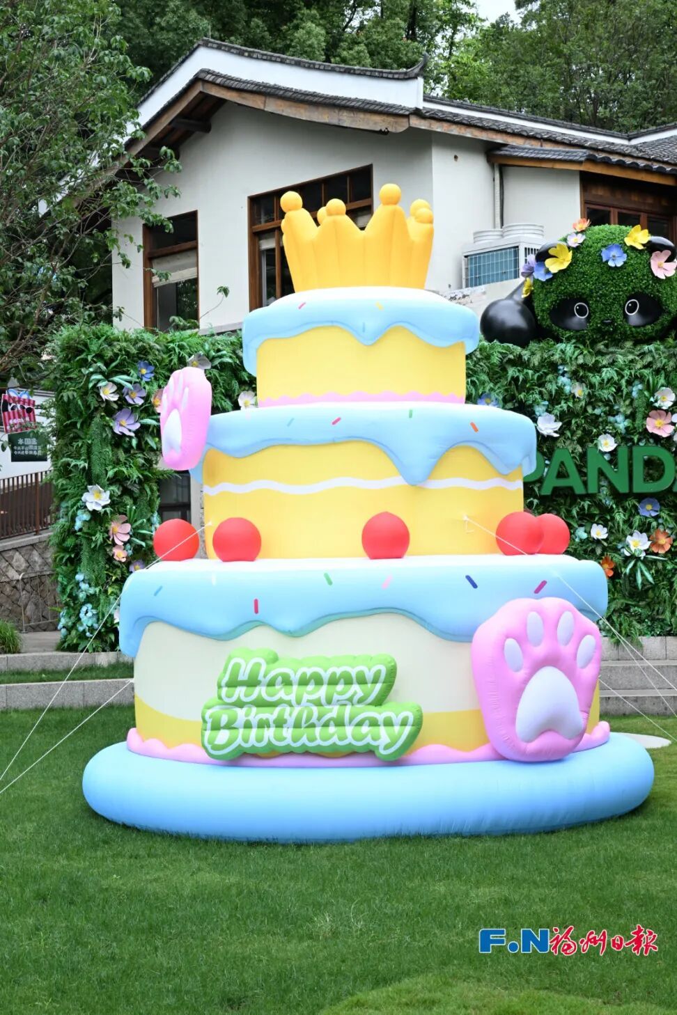 福州大熊猫和小朋友一起过生日啦! 福州大熊猫和小朋友一起过生日啦!