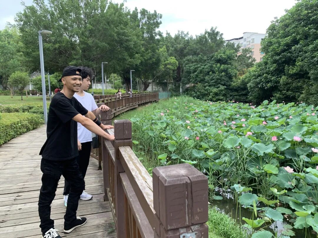 绝美出圈!福州新区(长乐区)再添夏日赏荷好去处 绝美出圈!福州新区(长乐区)再添夏日赏荷好去处