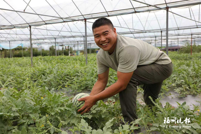 琅岐西瓜甜蜜上市 琅岐西瓜甜蜜上市