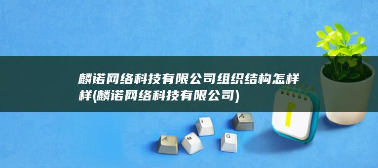 麟诺网络科技有限公司