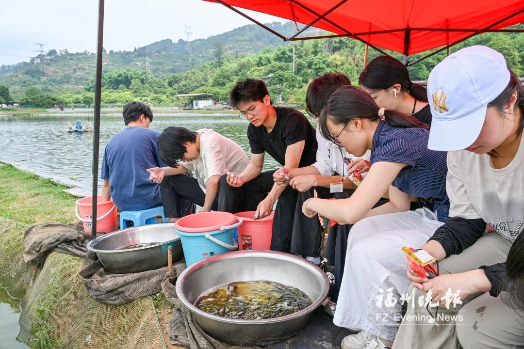 闽大科研团队为2万尾鲢鱼办“身份证” 闽大科研团队为2万尾鲢鱼办“身份证”