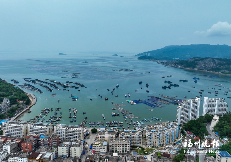 连江这个千年渔村海上龙舟吸睛，“思乡鱼”香飘海外
