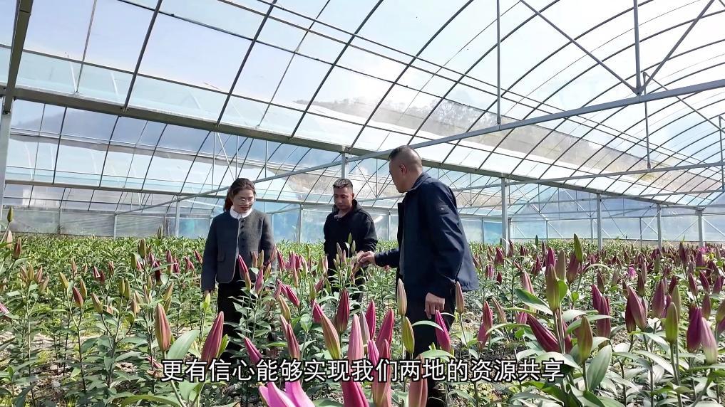 新华社关注福州多元赋能乡村发展:侨韵流芳 山海共兴 新华社关注福州多元赋能乡村发展:侨韵流芳 山海共兴