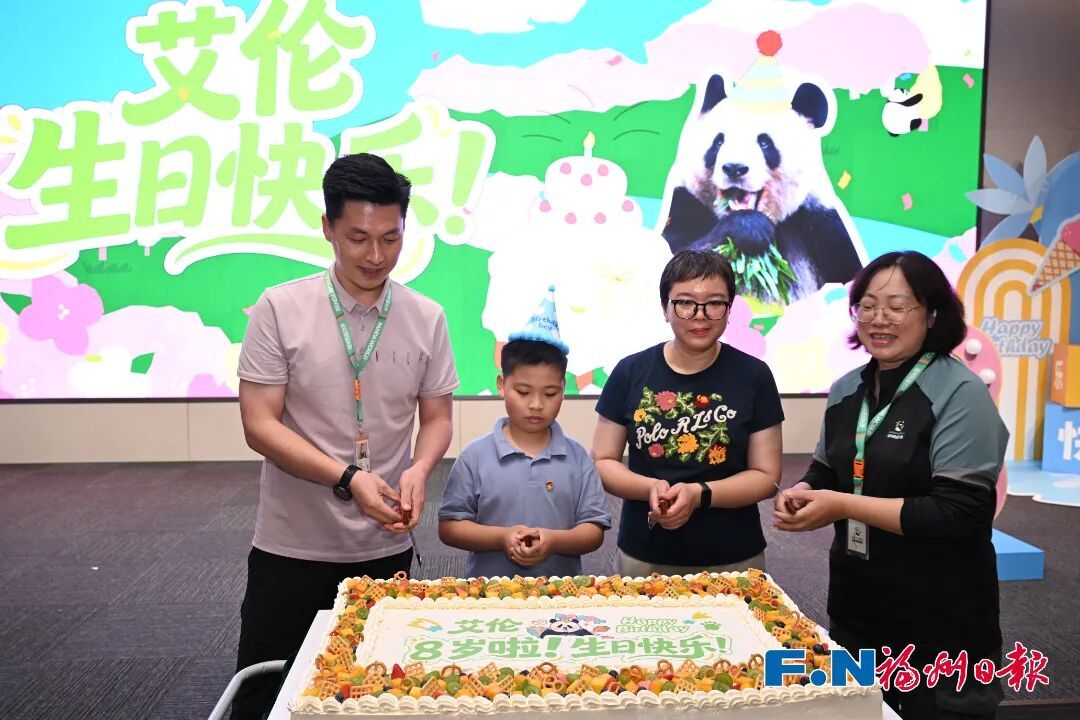 福州大熊猫和小朋友一起过生日啦! 福州大熊猫和小朋友一起过生日啦!