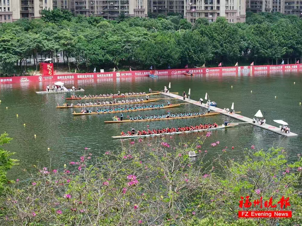 福州国际龙舟邀请赛来了!快去看 福州国际龙舟邀请赛来了!快去看