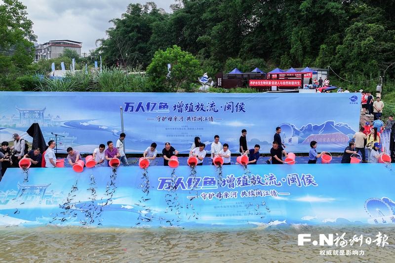 33万尾鱼苗投放闽江