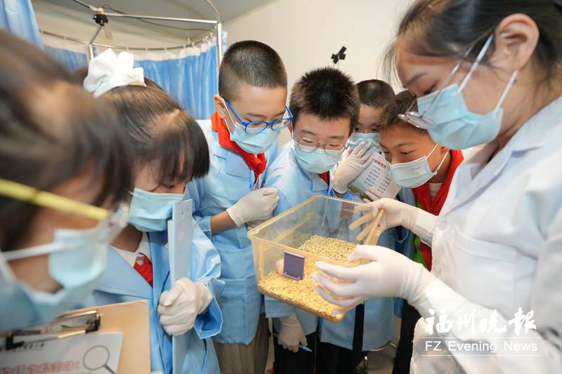 福州晚报写作训练营走进福建中医药大学 邂逅本草古韵 探究科学奥秘 福州晚报写作训练营走进福建中医药大学 邂逅本草古韵 探究科学奥秘