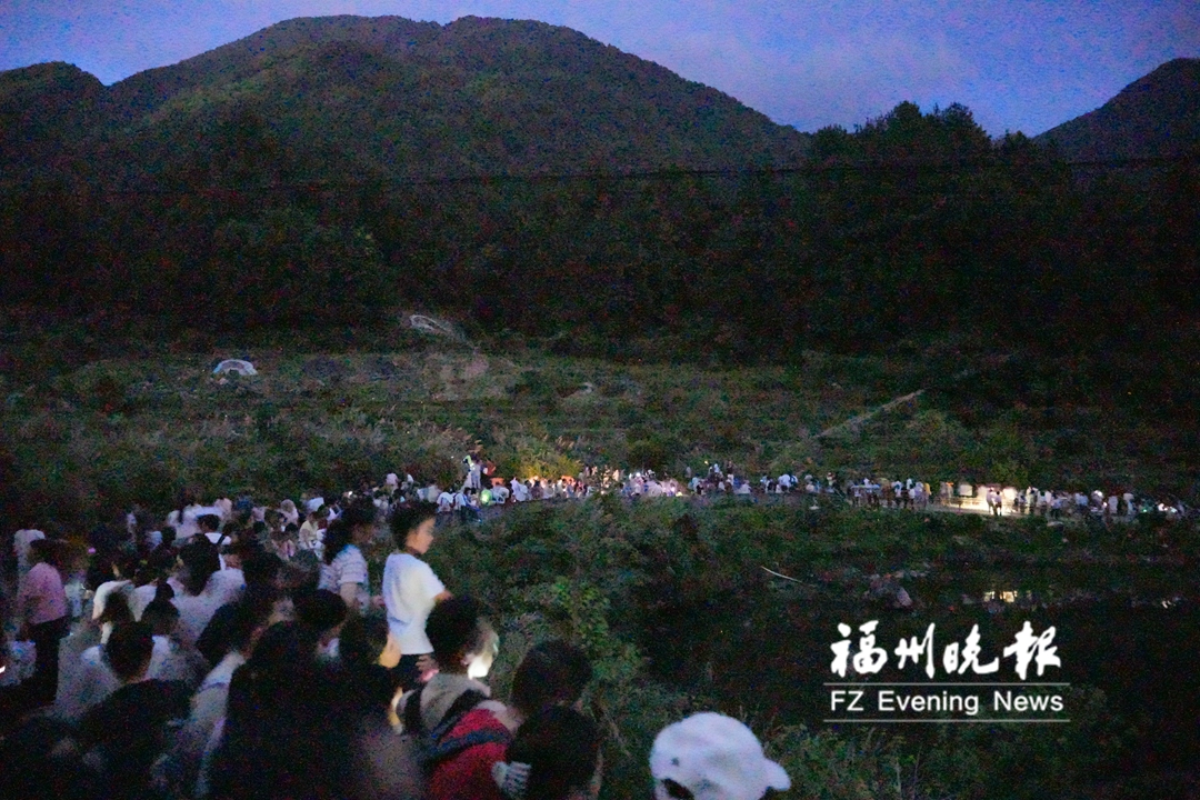 闽侯岭头村萤星体验带进入最佳观赏期 闽侯岭头村萤星体验带进入最佳观赏期