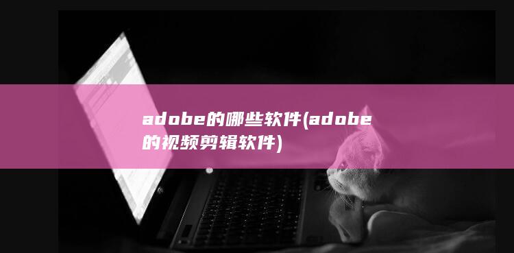 adobe的哪些软件