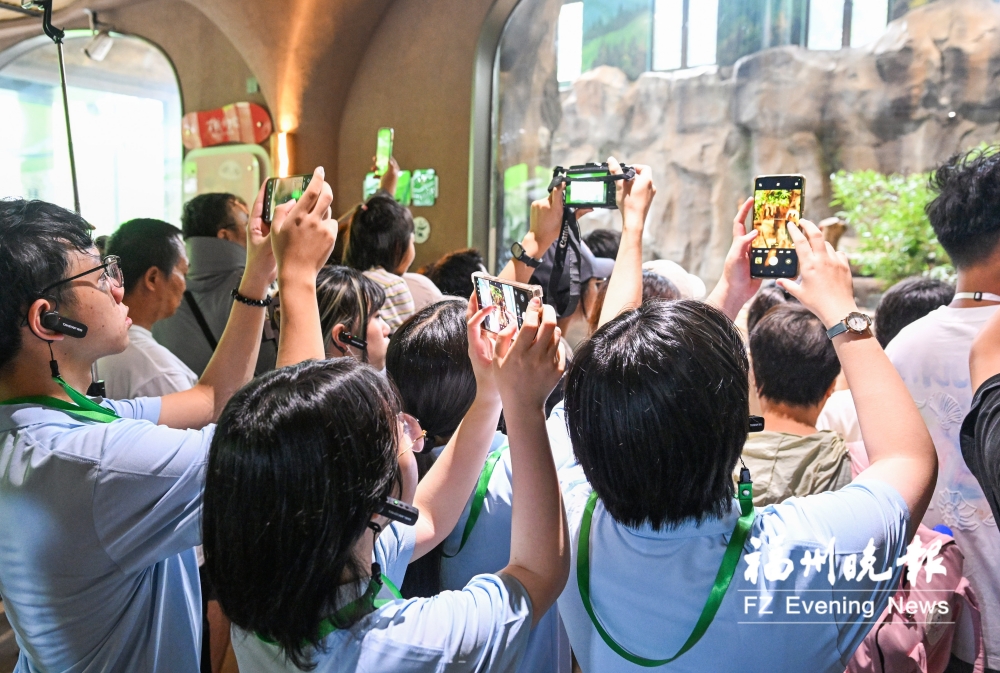 两岸青年聚榕城 共绘海峡幸福卷 两岸青年聚榕城 共绘海峡幸福卷