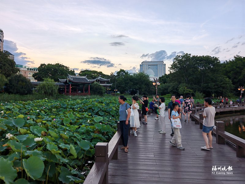 西堤春晓步道焕新 沿线荷花景观惹人醉 西堤春晓步道焕新 沿线荷花景观惹人醉