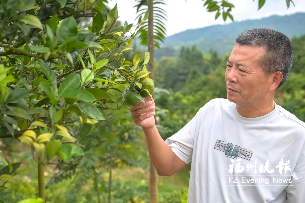 晋安板桥村:“孔子文化”振业兴村 晋安板桥村:“孔子文化”振业兴村
