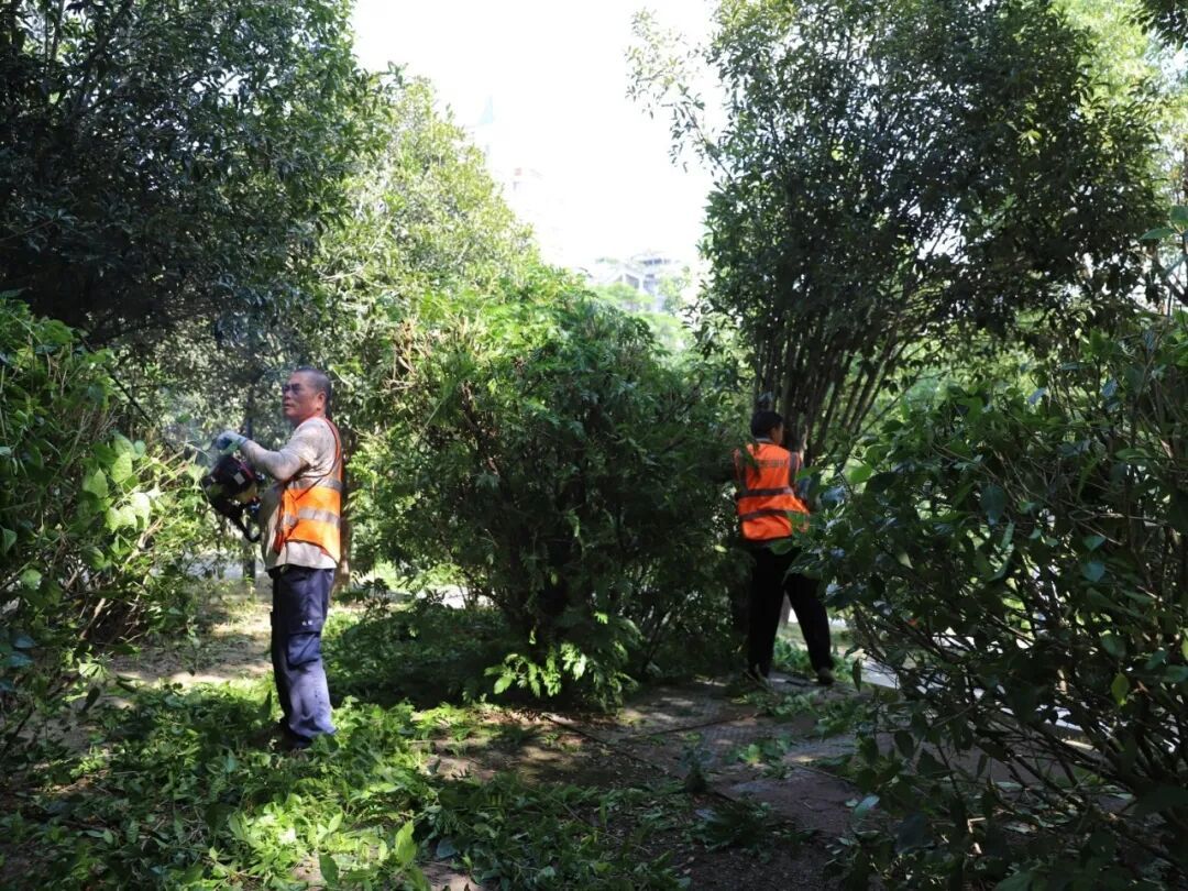 护河爱水、清洁家园!晋安在行动! 护河爱水、清洁家园!晋安在行动!