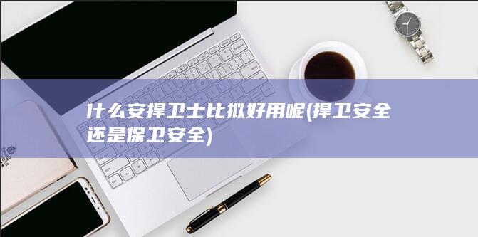 捍卫安全还是保卫安全