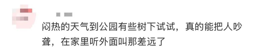 多人因蝉鸣听力受损 医生紧急提醒