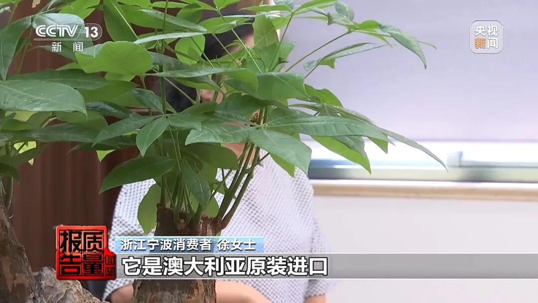 “澳洲保健品”实为广州代工！央视曝光→