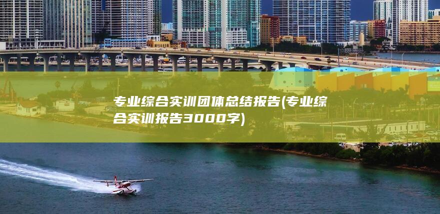 专业综合实训团体总结报告