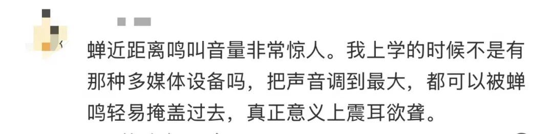 多人因蝉鸣听力受损 医生紧急提醒