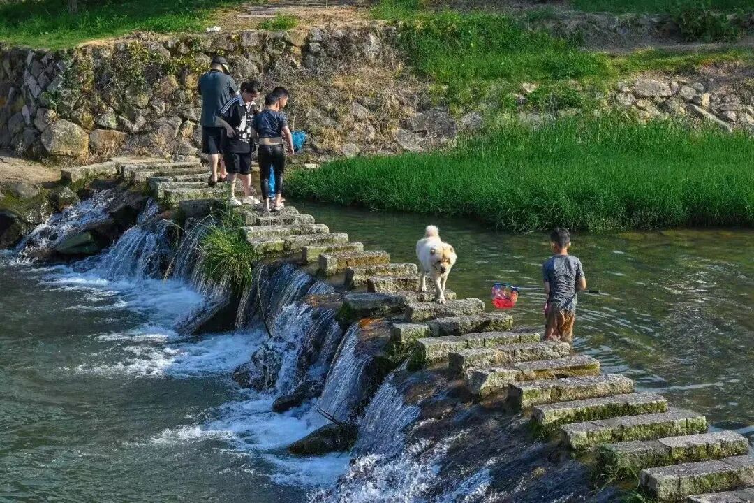 “天然空调房”!“夏”一站,就来晋安! “天然空调房”!“夏”一站,就来晋安!