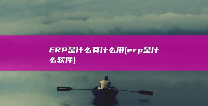 ERP是什么有什么用