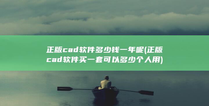 正版cad软件买一套可以多少个人用