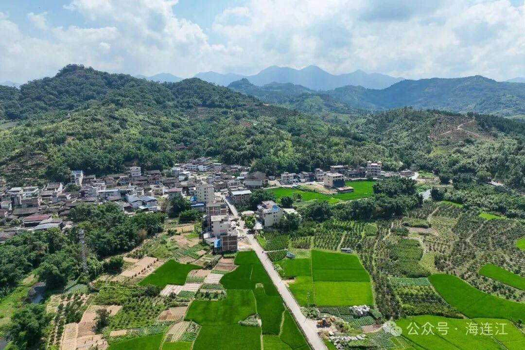又鲜又甜!福州人爱的这口“山野美味”,正大量上市! 又鲜又甜!福州人爱的这口“山野美味”,正大量上市!