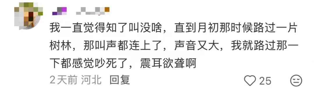 多人因蝉鸣听力受损 医生紧急提醒