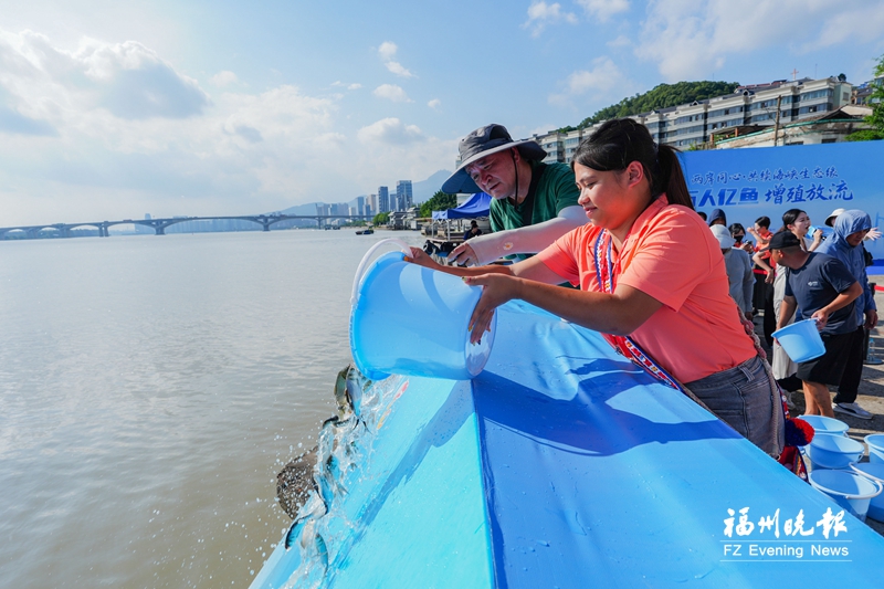 携手共护碧海 两岸青年放流超65万尾鱼苗 携手共护碧海 两岸青年放流超65万尾鱼苗