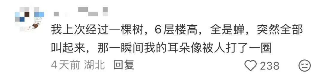 多人因蝉鸣听力受损 医生紧急提醒