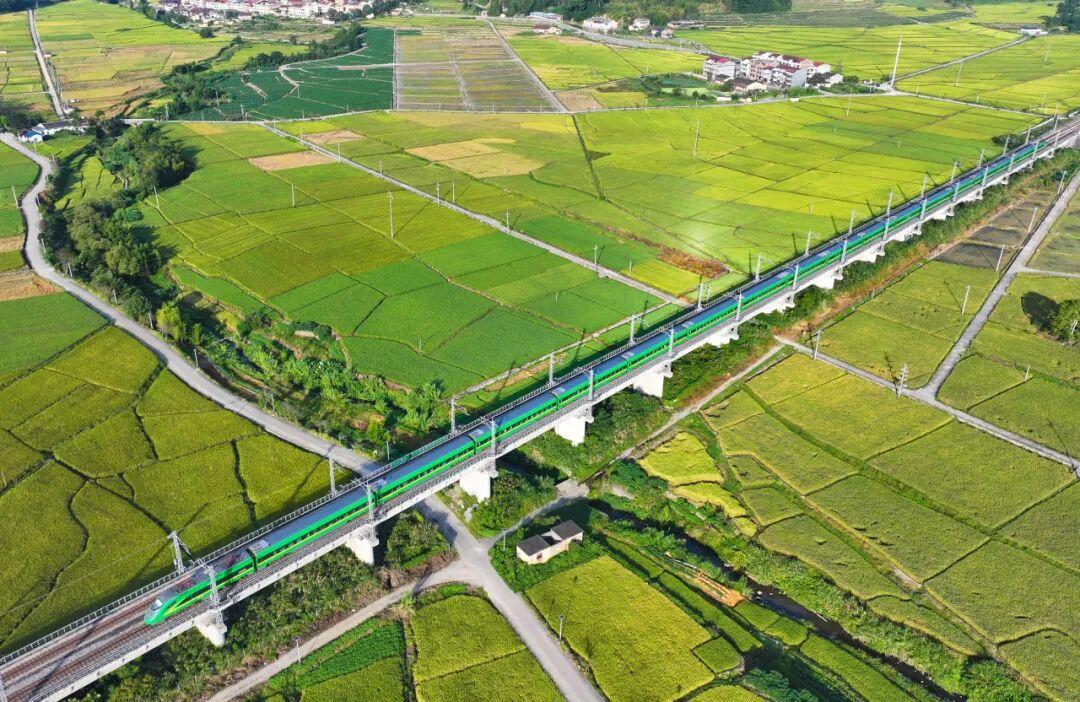 安检仪里滚出一排“大圆球”? 安检仪里滚出一排“大圆球”?