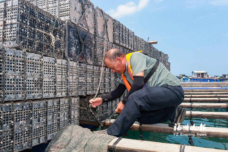 央视关注福州防御台风“白海豚”:船进港人上岸 农户抢收水稻 央视关注福州防御台风“白海豚”:船进港人上岸 农户抢收水稻
