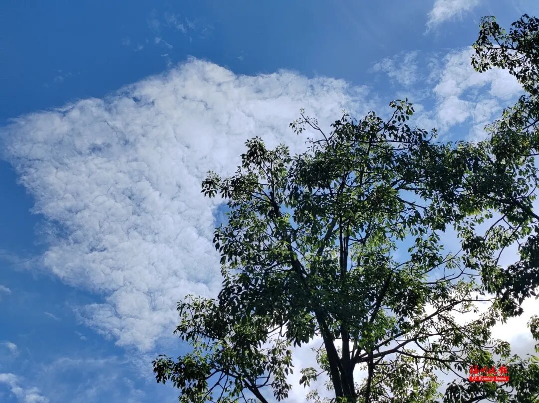 台风“白海豚”快速增强！最强或达17级超强台风！福建发布暴雨警报
