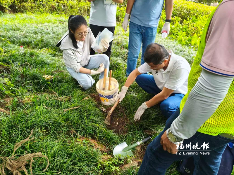 福州首次启动古树名木综合性“健康体检”: 照“CT”不伤树 做“B超”护根系 福州首次启动古树名木综合性“健康体检”: 照“CT”不伤树 做“B超”护根系