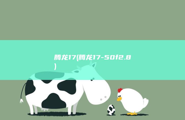 腾龙17