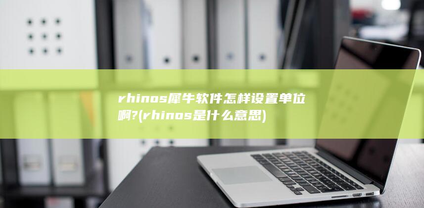 rhinos犀牛软件怎样设置单位啊?