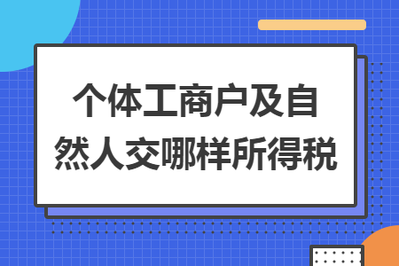 个体工商户及自然人交哪样所得税