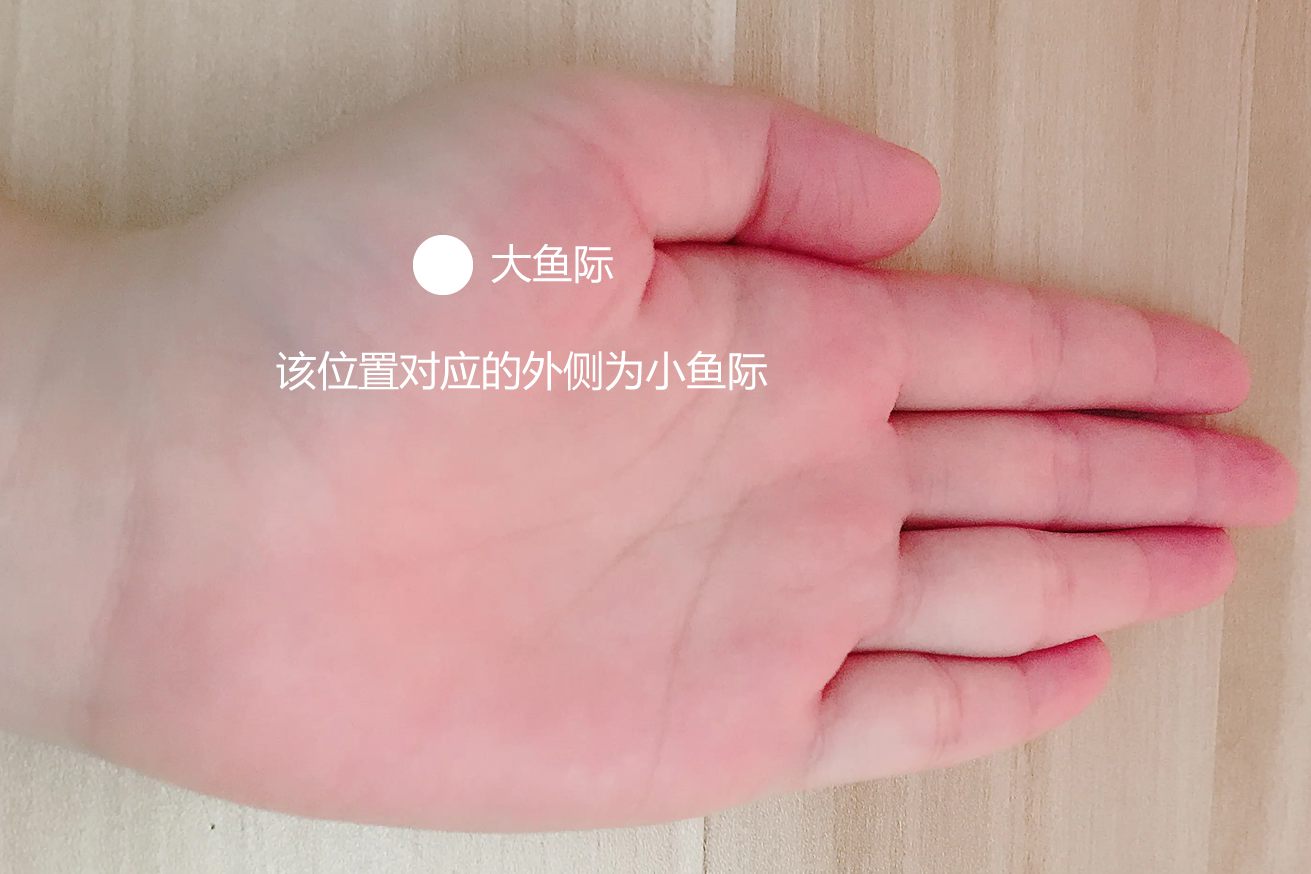 手掌鱼际