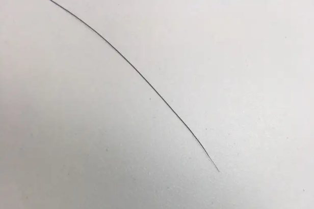 正常脱发发根图片