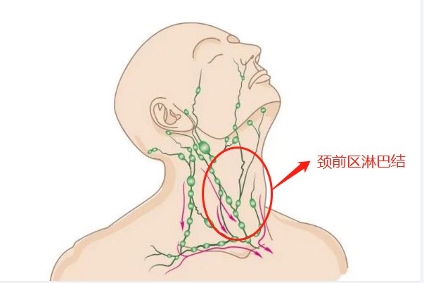 颈前区淋巴结