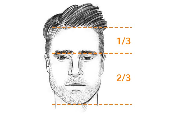 正常人的发际线